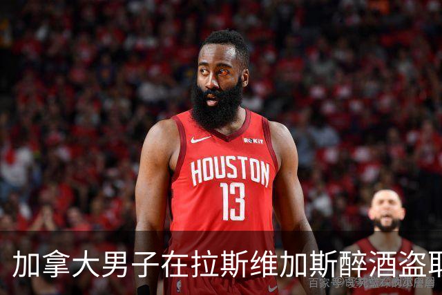 加拿大男子在拉斯维加斯醉酒盗取火烈鸟，面临长达五年的监禁